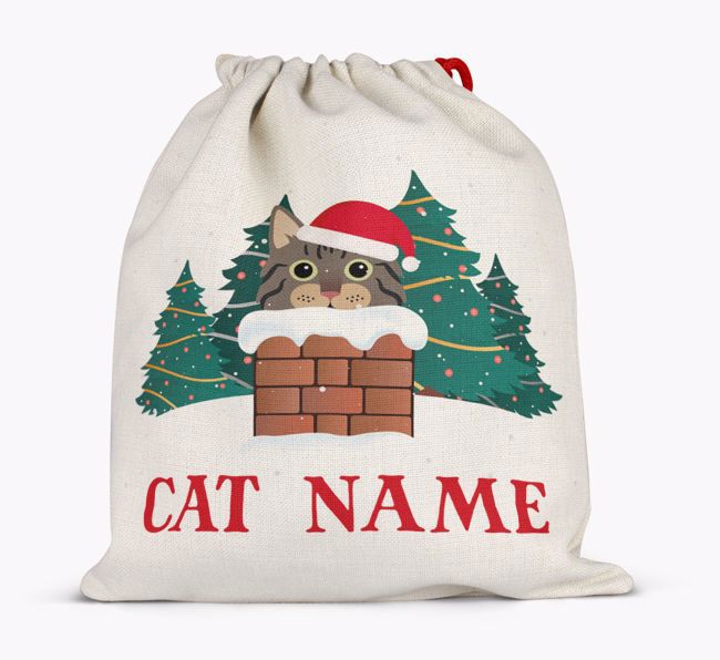 Peeking Cat with Santa Hat: Personalised {breedCommonName} Santa Sack 